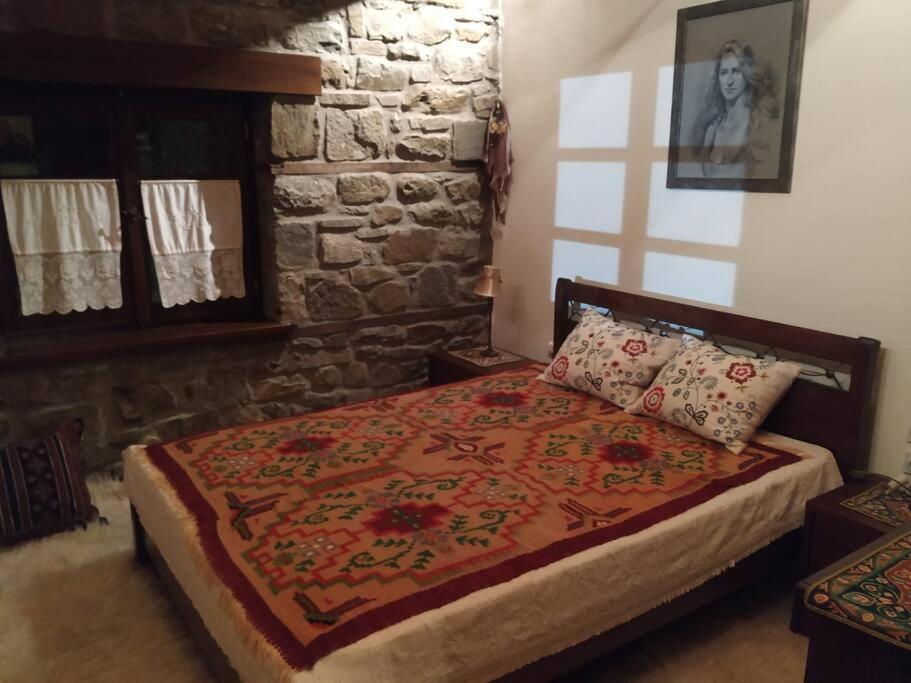 Παραδοσιακή Πέτρινη Κατοικία Στην Βλάχα Ελάτης Exteriör bild