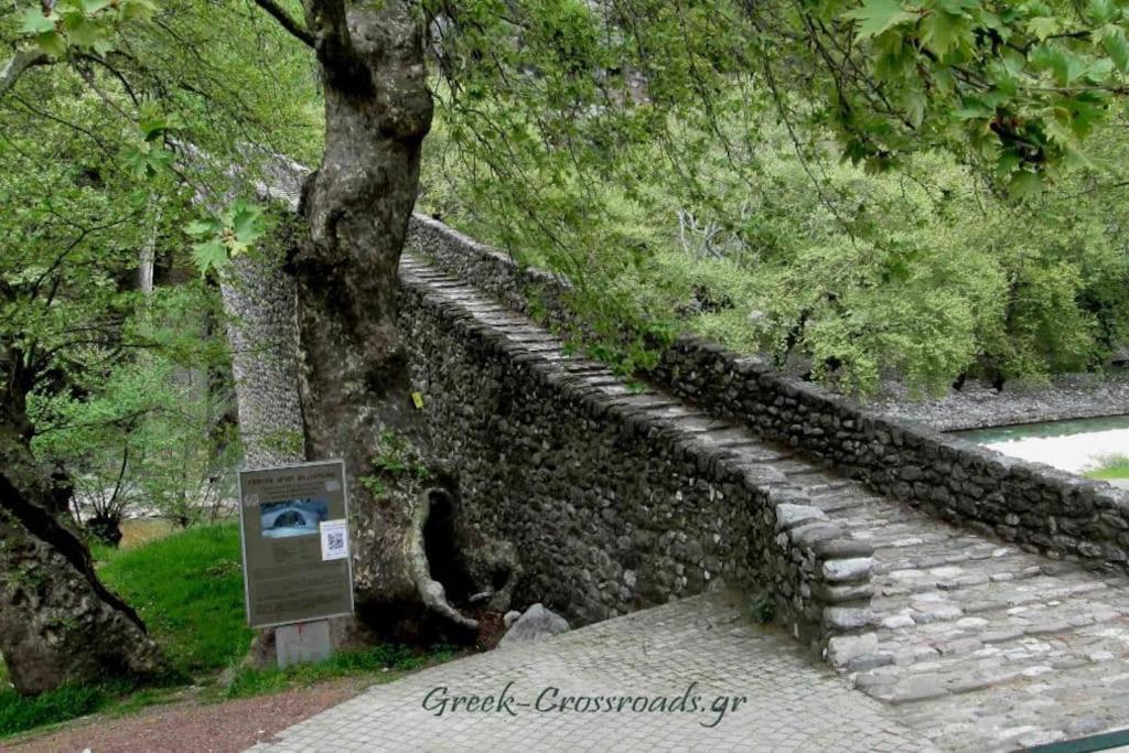 Παραδοσιακή Πέτρινη Κατοικία Στην Βλάχα Ελάτης Exteriör bild
